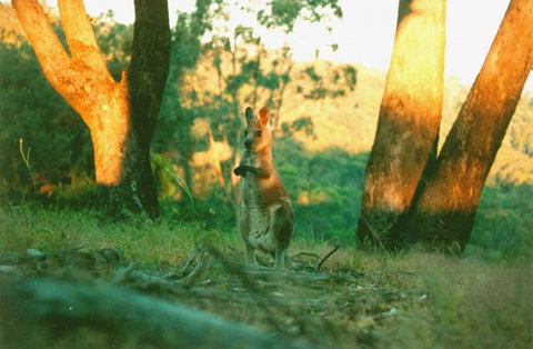 Kingbilli - Perth Resorts 7