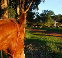Billa Billa Farm Cottages - Perth Resorts