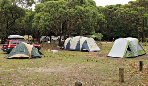 Pretty Beach Campground, Murramarang National Park - Accommodation Perth 0