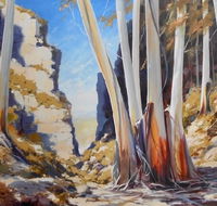 Gallery Blackheath - Accommodation Perth