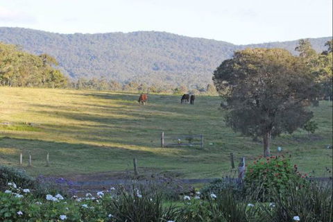Wallaby Cottage - Accommodation Perth 1