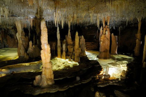 Wilderness Retreats Buchan Caves Reserve - Perth Resorts 8