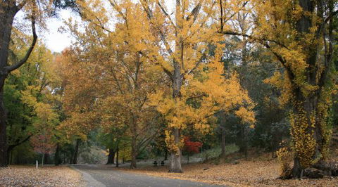 Wilderness Retreats Buchan Caves Reserve - Perth Resorts 9