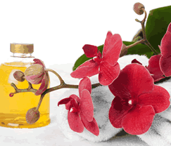 Sunny Hill Retreat Accommodation & Day Spa - thumb 0