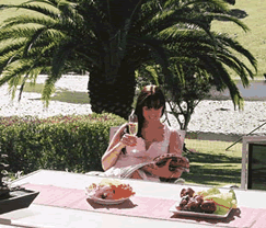 Sunny Hill Retreat Accommodation & Day Spa - Perth Resorts 4