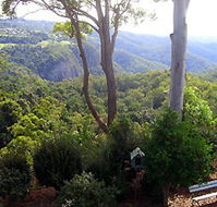 Mt Tamborine Motel - Accommodation Perth