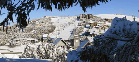 Alpine Ridge Lodge - Accommodation Perth