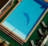 Pacific International Hotel - Accommodation Perth