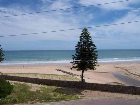 Christie's Seahorse - Accommodation Perth 1