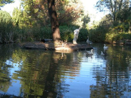 Lyndoch Hill Retreat - Accommodation Perth 2