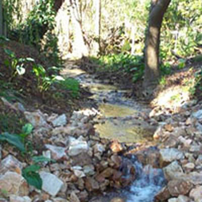 Pettswood Lodge - Perth Resorts 3