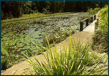 Aba Abode - Accommodation Perth 3