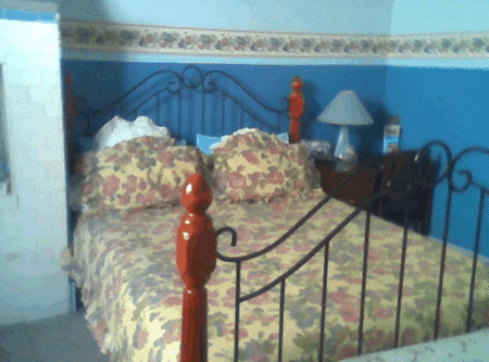 Hamilton Heritage Bed & Breakfast - Accommodation Perth 2