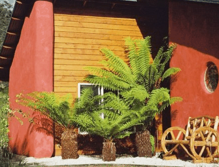 Whispering Spirit Cottage  Miniature Pony Stud - Accommodation Perth