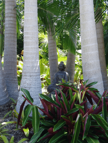 Amber Gardens Guesthouse - Perth Resorts 3