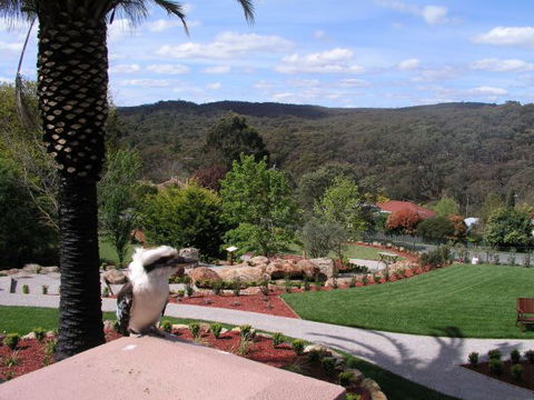 Grange Bellinzona - Accommodation Perth 4