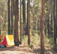Nanga Mill Camp at Lane Poole Reserve - Accommodation Perth