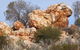 Credo Homestead Camp At Credo Conservation Park - thumb 0