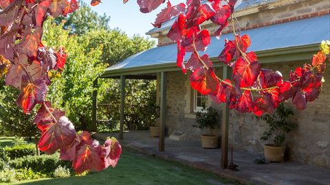 Grand Cru Estate Homestead - Accommodation Perth 0