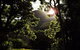 'The Dales' Boutique Bed And Breakfast - thumb 5