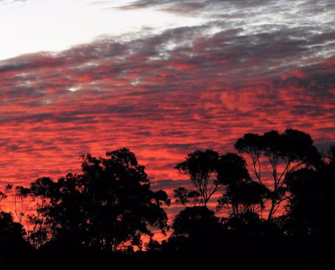 'The Dales' Boutique Bed And Breakfast - Accommodation Perth 8