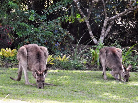 'The Dales' Boutique Bed And Breakfast - Accommodation Perth 9