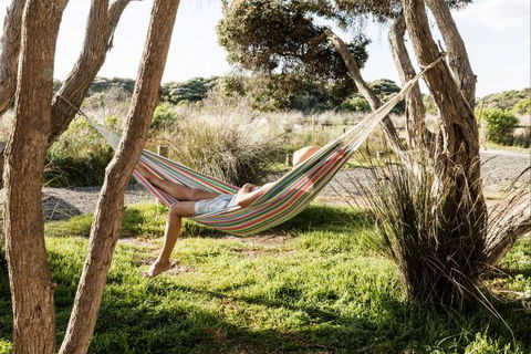 Anglesea Family Caravan Park - Accommodation Perth 1