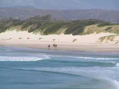 Arties Cottage Accommodation - Accommodation Perth 5