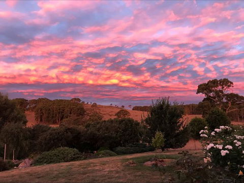Avaleigh Elms Farmstay - Accommodation Perth 5