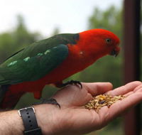 Barrington Tops Escapes - Accommodation Perth