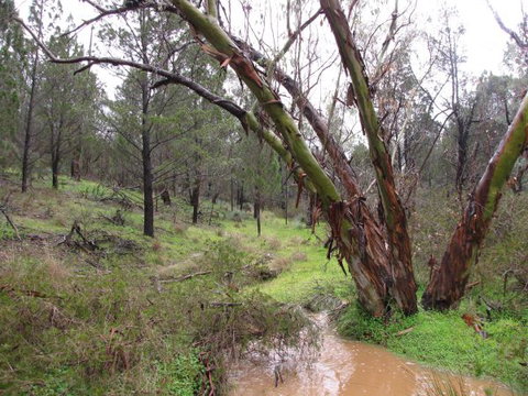 Beetaloo Grove - Accommodation Perth 2