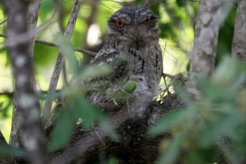 Bush Oasis Caravan Park - Accommodation Perth 7