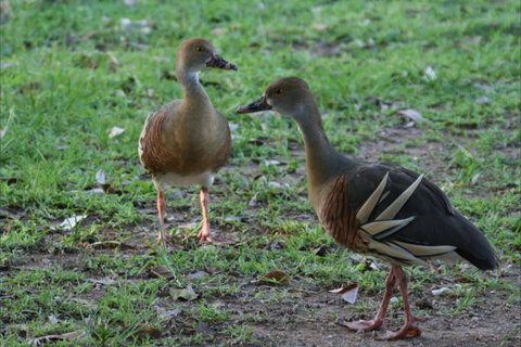 Bush Oasis Caravan Park - Accommodation Perth 8