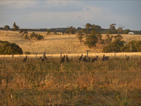 Bunjil Farm - Accommodation Perth 8