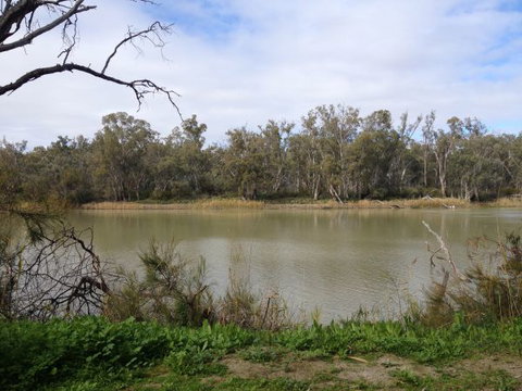 Chowilla Station Shearer's Quarters Accommodation - Accommodation Perth 1
