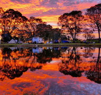 Coonawarra Bush Holiday Park - Accommodation Perth