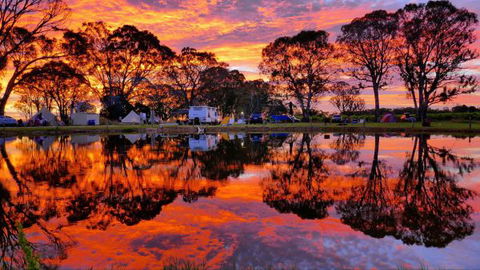 Coonawarra Bush Holiday Park - Accommodation Perth 0