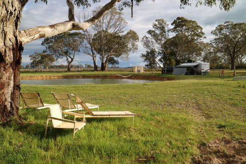 Coonawarra Bush Holiday Park - Accommodation Perth 4