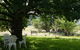Coodravale Homestead - thumb 6