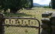 Coodravale Homestead - thumb 7