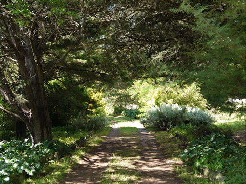 Coodravale Homestead - Accommodation Perth 8