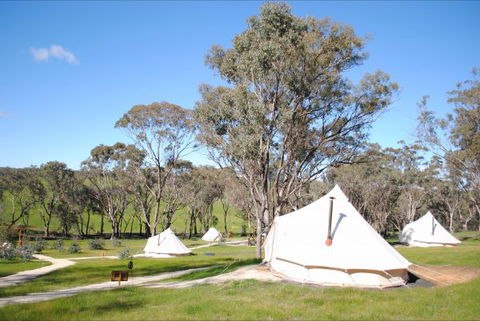 Cosy Tents - Accommodation Perth 5