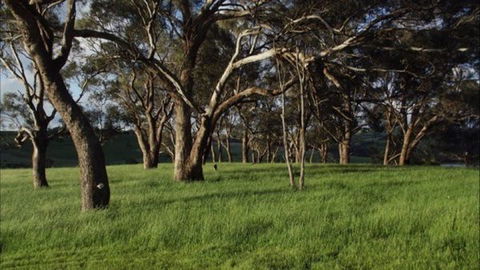 Dragonfly Cottages - Accommodation Perth 1
