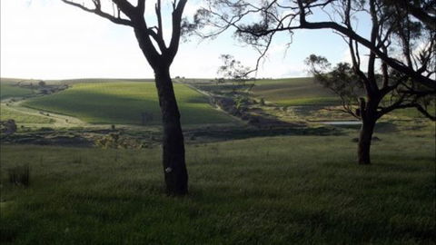 Dragonfly Cottages - Accommodation Perth 2