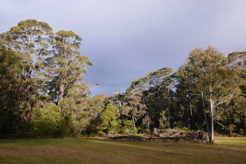 Fernhill Chestnut Farm - Accommodation Perth 2