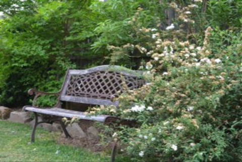 Garden Cottage B And B - Perth Resorts 4