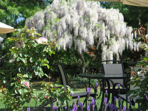 Golden Chain Wine Village Motor Inn - Perth Resorts 5