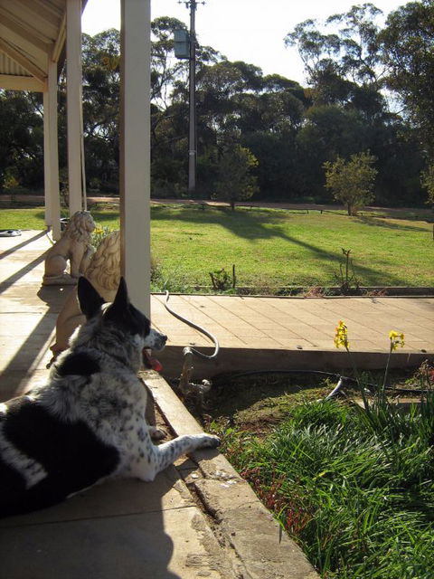 Great Grandpa Henry Retreat - Accommodation Perth 4