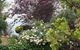Katoomba Green Gables - thumb 1