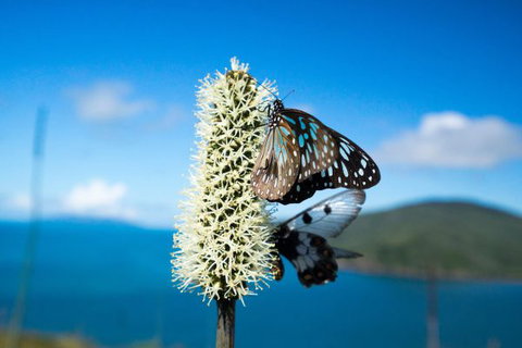 Keswick Island Camping And Glamping - Accommodation Perth 7